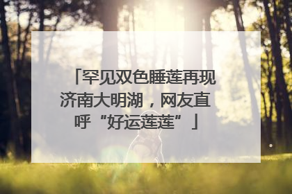罕见双色睡莲再现济南大明湖，网友直呼“好运莲莲”