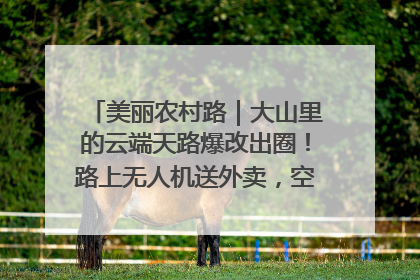 美丽农村路｜大山里的云端天路爆改出圈！路上无人机送外卖，空心村变网红村
