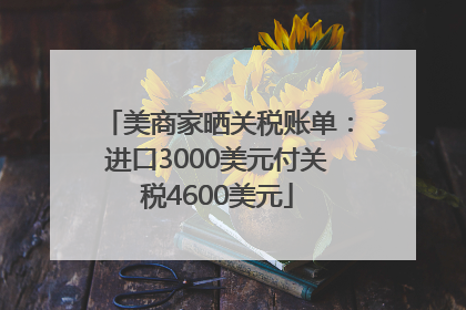 美商家晒关税账单：进口3000美元付关税4600美元