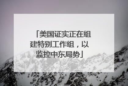 美国证实正在组建特别工作组，以监控中东局势