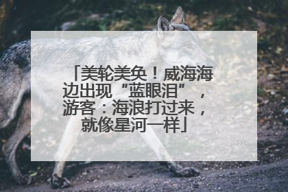美轮美奂！威海海边出现“蓝眼泪”，游客：海浪打过来，就像星河一样