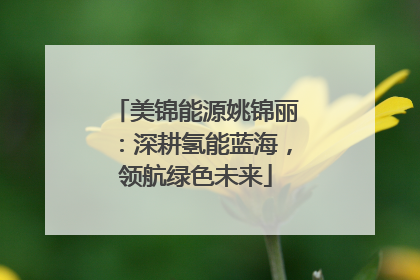 美锦能源姚锦丽：深耕氢能蓝海，领航绿色未来