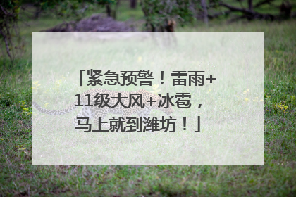 紧急预警！雷雨+11级大风+冰雹，马上就到潍坊！