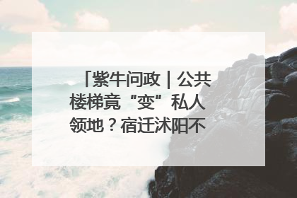 紫牛问政｜公共楼梯竟“变”私人领地？宿迁沭阳不动产登记引质疑