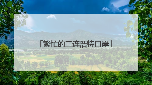 繁忙的二连浩特口岸