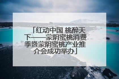红动中国 桃醉天下——蒙阴蜜桃消费季暨蒙阴蜜桃产业推介会成功举办