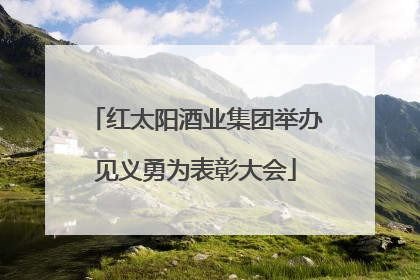 红太阳酒业集团举办见义勇为表彰大会