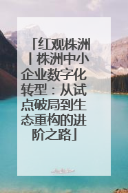 红观株洲丨株洲中小企业数字化转型：从试点破局到生态重构的进阶之路