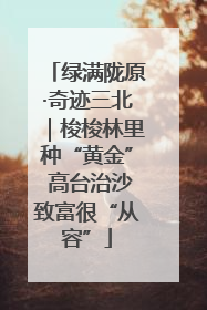 绿满陇原·奇迹三北｜梭梭林里种“黄金” 高台治沙致富很“从容”