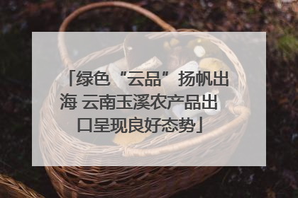 绿色“云品”扬帆出海 云南玉溪农产品出口呈现良好态势
