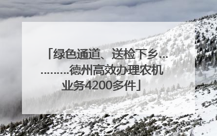 绿色通道、送检下乡…………德州高效办理农机业务4200多件