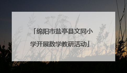 绵阳市盐亭县文同小学开展数学教研活动