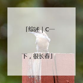 综述｜C一下，很长春