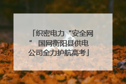 织密电力“安全网” 国网衡阳县供电公司全力护航高考