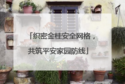 织密金桂安全网格，共筑平安家园防线