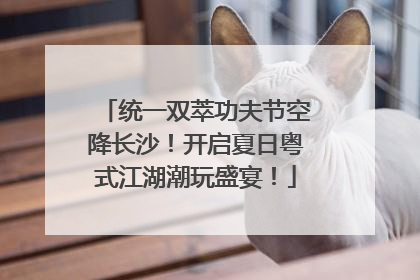 统一双萃功夫节空降长沙！开启夏日粤式江湖潮玩盛宴！