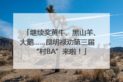 继续奖黄牛、黑山羊、大鹅……昆明禄劝第三届“村BA”来啦！