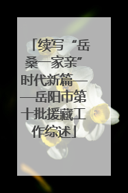 续写“岳桑一家亲”时代新篇——岳阳市第十批援藏工作综述
