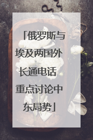 俄罗斯与埃及两国外长通电话 重点讨论中东局势