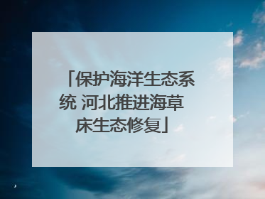 保护海洋生态系统 河北推进海草床生态修复