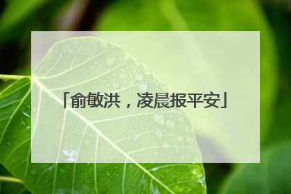 俞敏洪，凌晨报平安