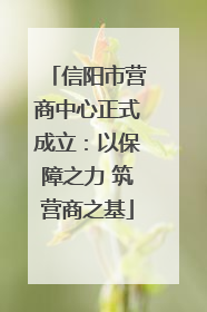 信阳市营商中心正式成立：以保障之力 筑营商之基