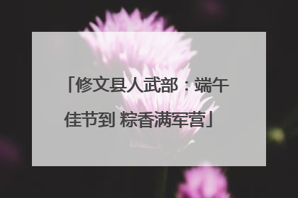 修文县人武部：端午佳节到 粽香满军营