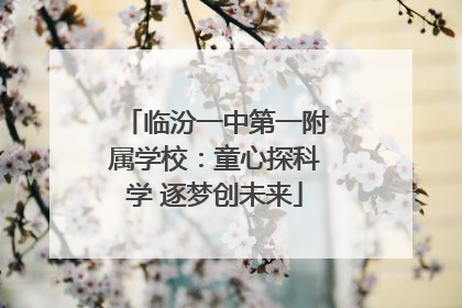 临汾一中第一附属学校：童心探科学 逐梦创未来