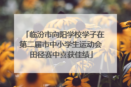 临汾市向阳学校学子在第二届市中小学生运动会田径赛中喜获佳绩