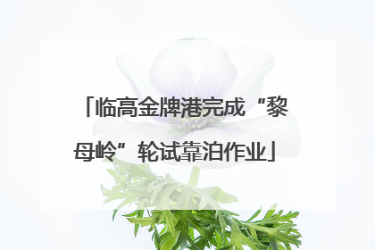 临高金牌港完成“黎母岭”轮试靠泊作业