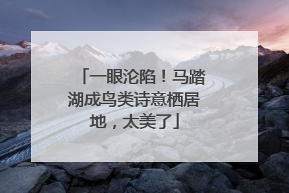 一眼沦陷！马踏湖成鸟类诗意栖居地，太美了