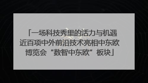一场科技秀里的活力与机遇 近百项中外前沿技术亮相中东欧博览会“数智中东欧”板块