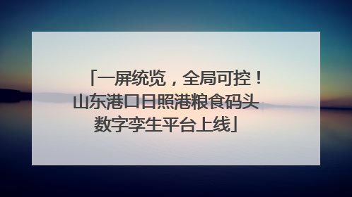 一屏统览，全局可控！山东港口日照港粮食码头数字孪生平台上线