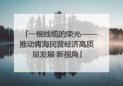 一根线缆的荣光——推动青海民营经济高质量发展·新视角
