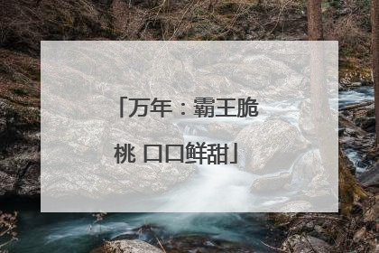万年：霸王脆桃 口口鲜甜