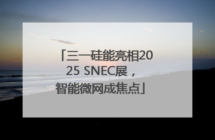 三一硅能亮相2025 SNEC展，智能微网成焦点