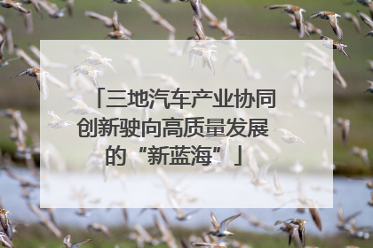 三地汽车产业协同创新驶向高质量发展的“新蓝海”