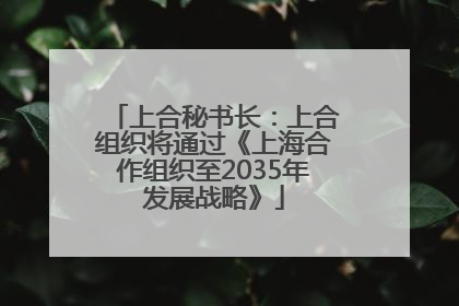 上合秘书长：上合组织将通过《上海合作组织至2035年发展战略》