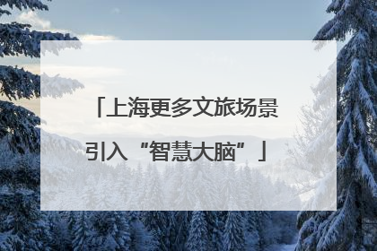 上海更多文旅场景引入“智慧大脑”