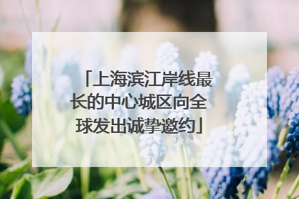 上海滨江岸线最长的中心城区向全球发出诚挚邀约