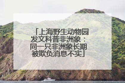 上海野生动物园发文科普非洲象：同一只非洲象长期被欺负消息不实