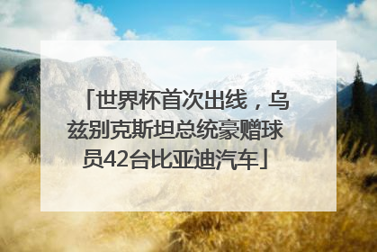 世界杯首次出线，乌兹别克斯坦总统豪赠球员42台比亚迪汽车