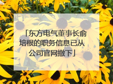 东方电气董事长俞培根的职务信息已从公司官网撤下