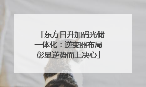 东方日升加码光储一体化：逆变器布局彰显逆势而上决心