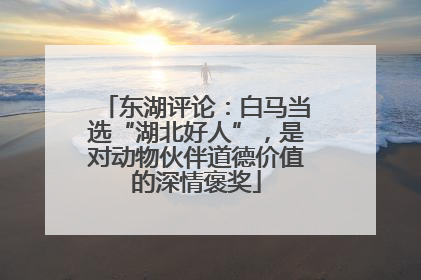 东湖评论：白马当选“湖北好人”，是对动物伙伴道德价值的深情褒奖