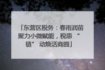 东营区税务：春雨润苗聚力小微赋能，税惠 “链” 动焕活商圈
