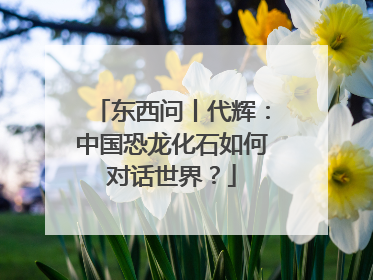 东西问丨代辉：中国恐龙化石如何对话世界？