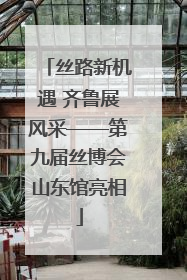 丝路新机遇 齐鲁展风采——第九届丝博会山东馆亮相