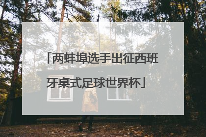 两蚌埠选手出征西班牙桌式足球世界杯