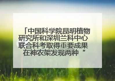 中国科学院昆明植物研究所和深圳兰科中心联合科考取得重要成果 在神农架发现两种“国保”级兰花